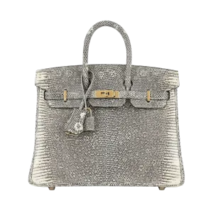 Hermès Birkin 25 Bag Ombre Lizard GHW -【TOP】1:1 Mirror Replica Handbags