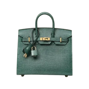 Hermès Birkin 20 Lizard Vert Cypress Sellier GHW Handcraft -【TOP】1:1 Mirror Replica Handbags