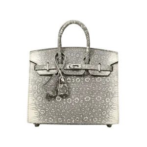 Hermès Birkin 20 Lizard Ombre Sellier PHW Handcraft -【TOP】1:1 Mirror Replica Handbags